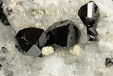 Gemmy Cassiterite Crystal Cluster - Viloco Mine, Bolivia #192171-2